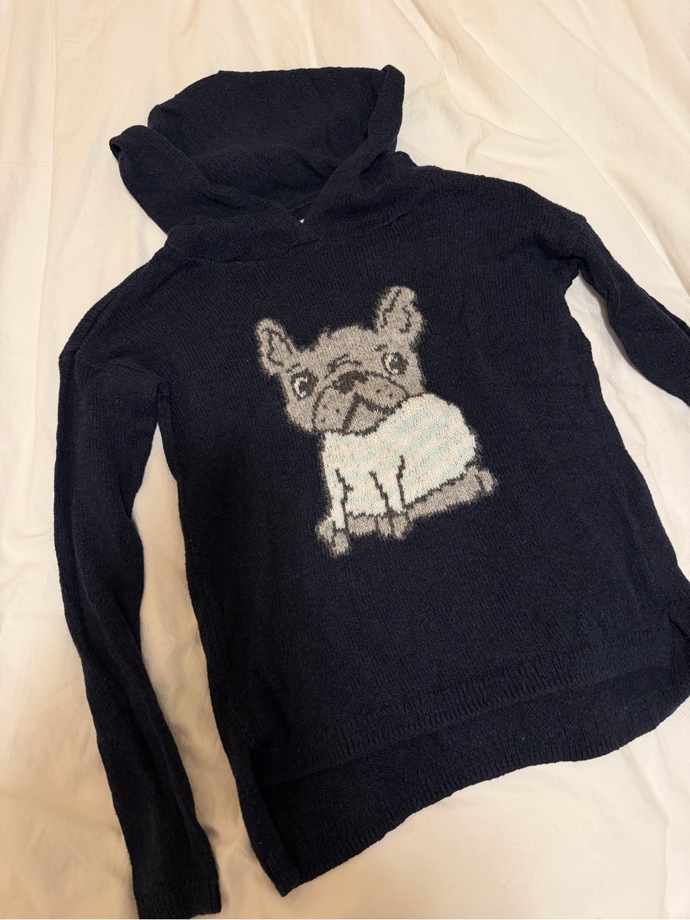 Abercrombie Kids Graphic Dog Hooded Sweater Size Large